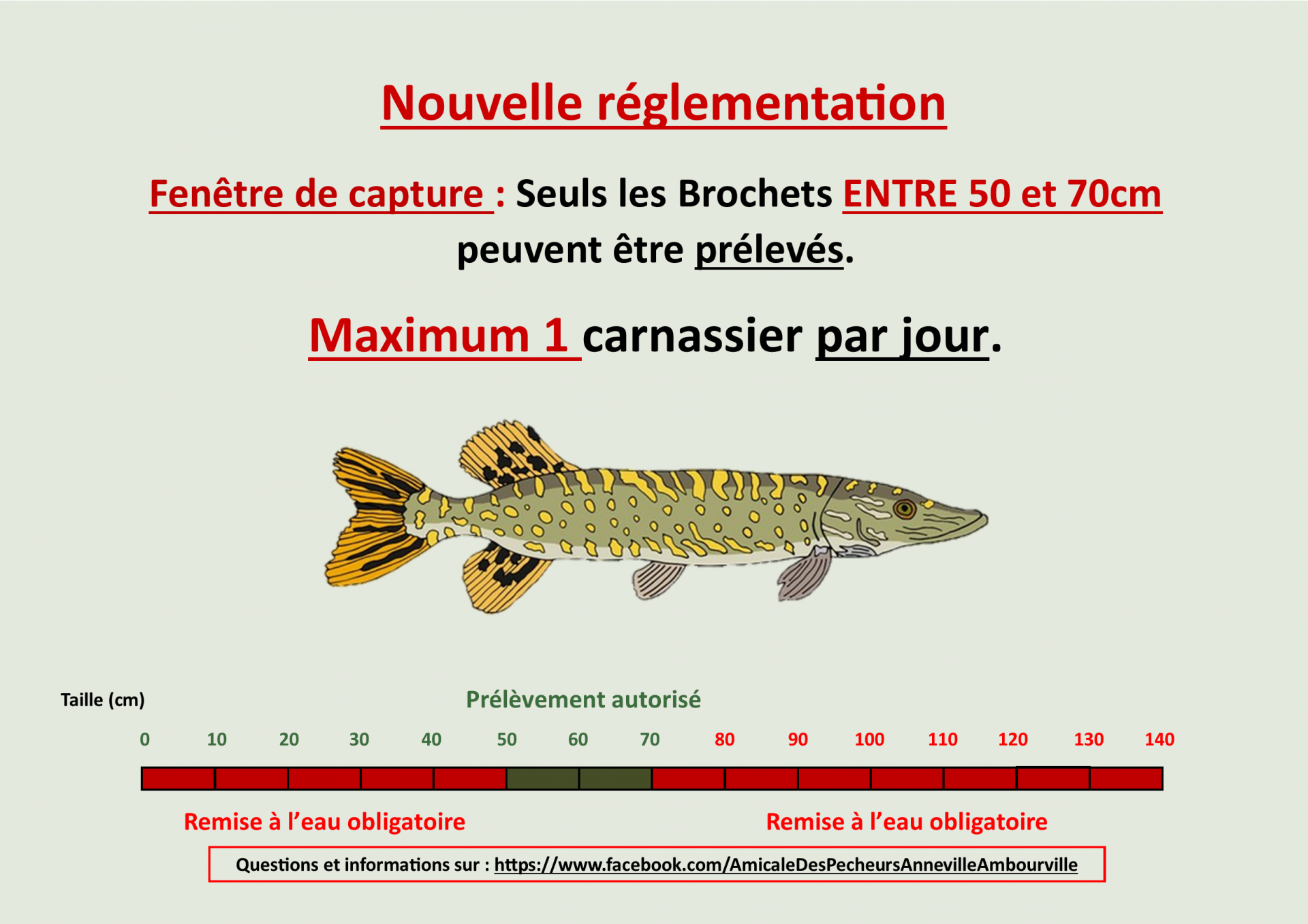 Fenetre de capture brochet